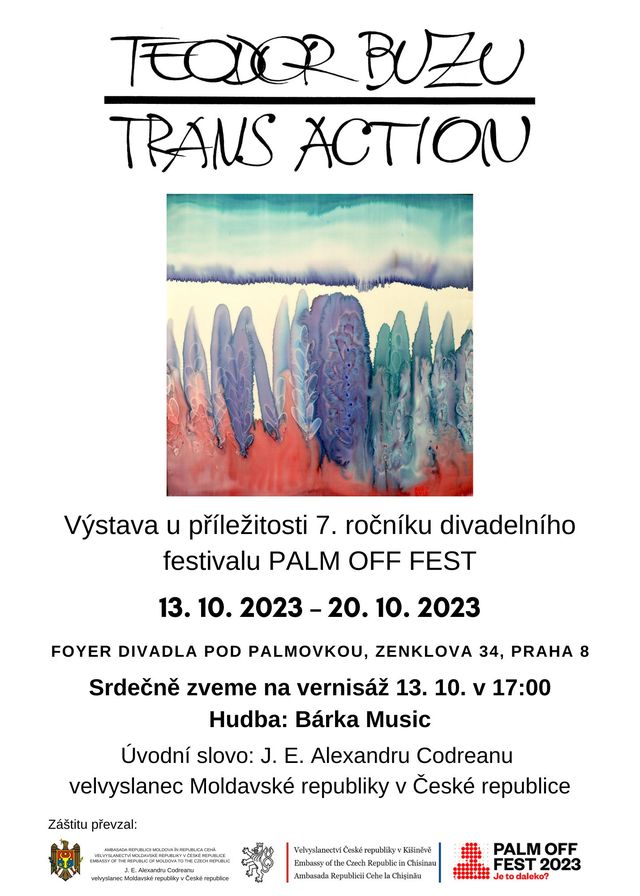 Expoziția  ”TRANS – ACTION” de Teodor Buzu